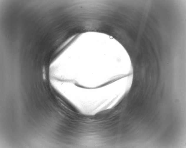 X0000065260075200603172241