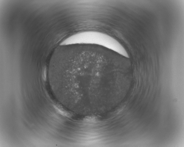 X0000065260076200603172241