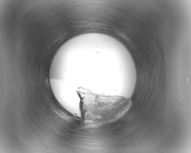 X0000065260077200603172241