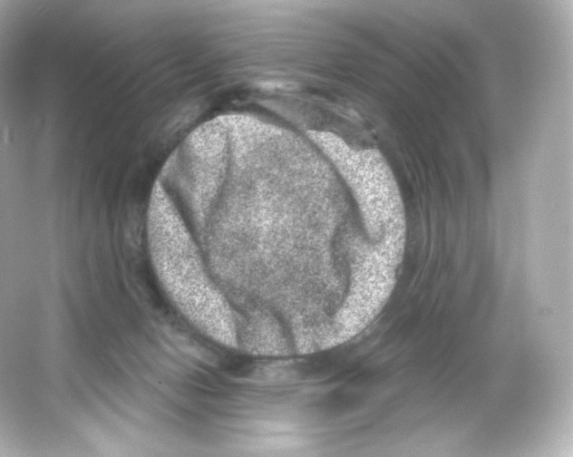 X0000065260078200603172241