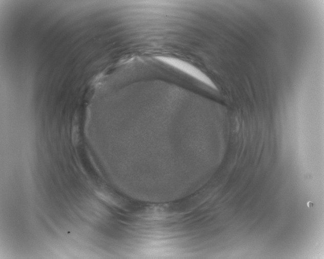 X0000065260080200603172241