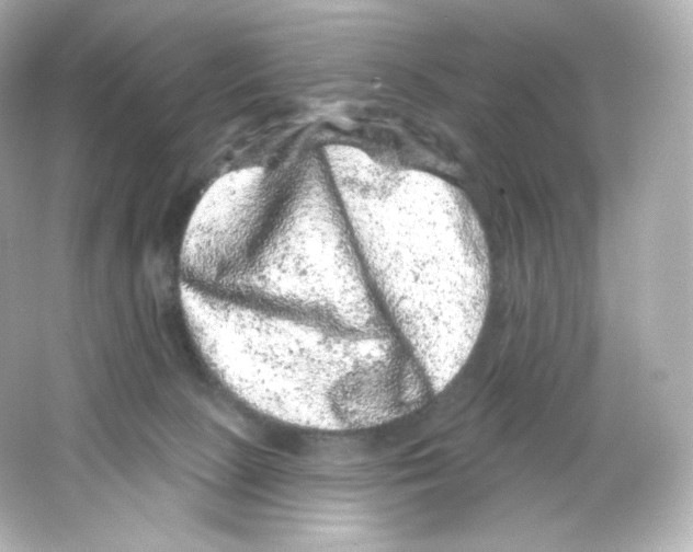 X0000065260081200603172241