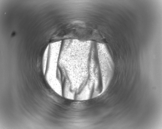 X0000065260082200603172241