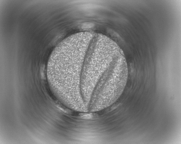 X0000065260083200603172241