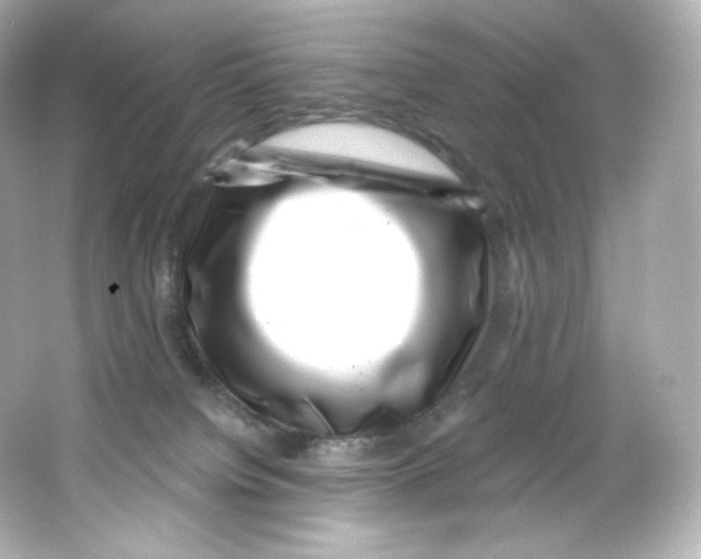 X0000065260084200603172241