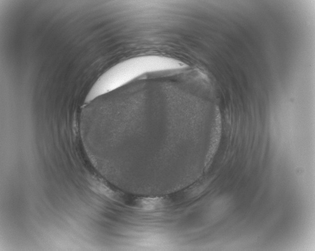 X0000065260085200603172241