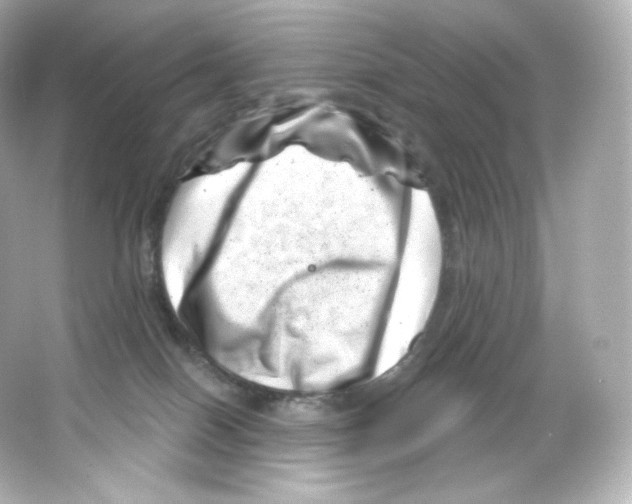 X0000065260086200603172241