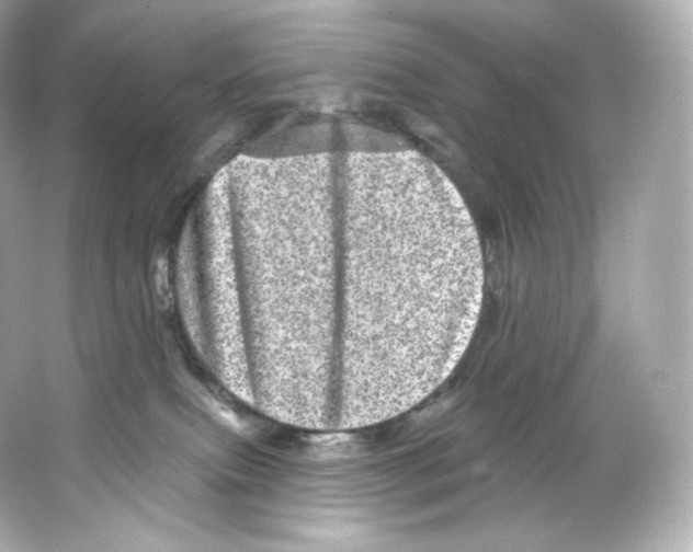 X0000065260087200603172241