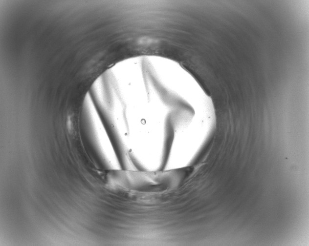 X0000065260088200603172241