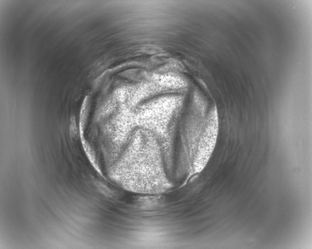 X0000065260089200603172241