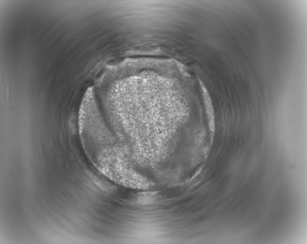 X0000065260090200603172241