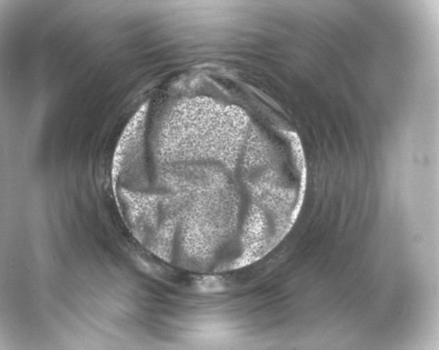 X0000065260091200603172242