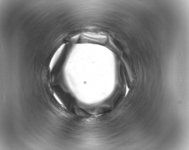 X0000065260092200603172242