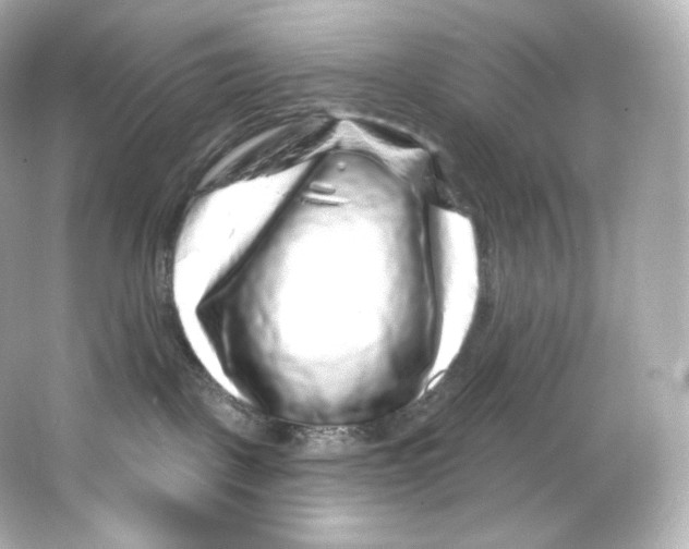 X0000065260093200603172242