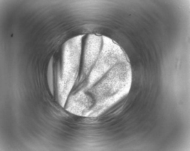 X0000065260094200603172242