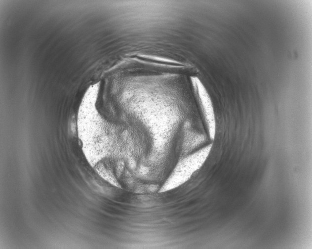 X0000065260095200603172242