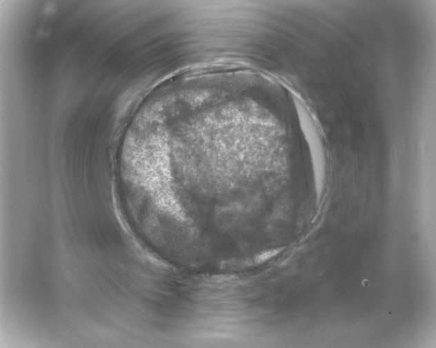 X0000065260097200603172241