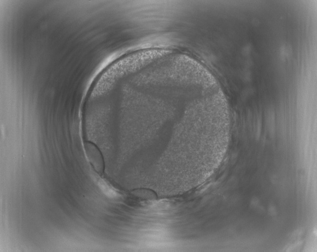 X0000065260100200603172241