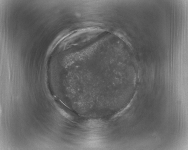 X0000065260101200603172241