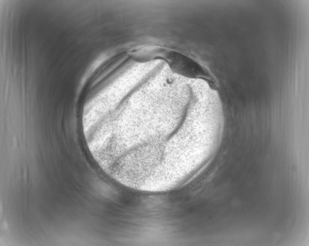 X0000065260102200603172241