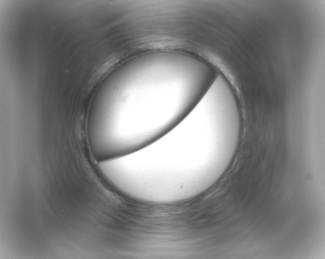 X0000065260105200603172241