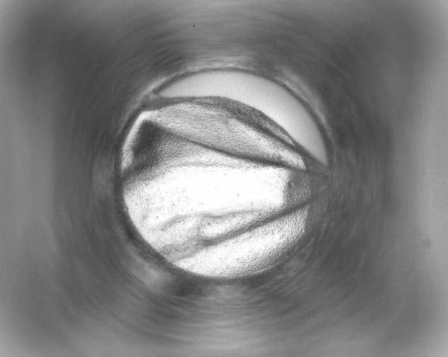 X0000065260107200603172241