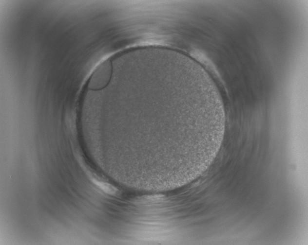 X0000065260108200603172241