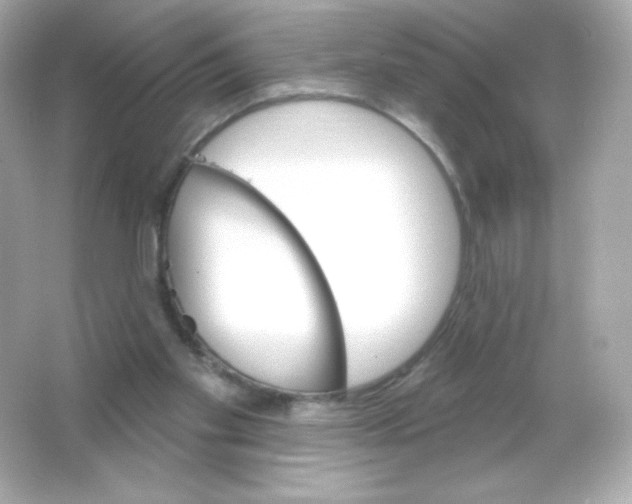 X0000065260109200603172241