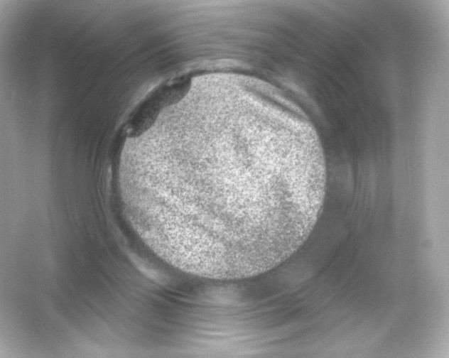 X0000065260110200603172241