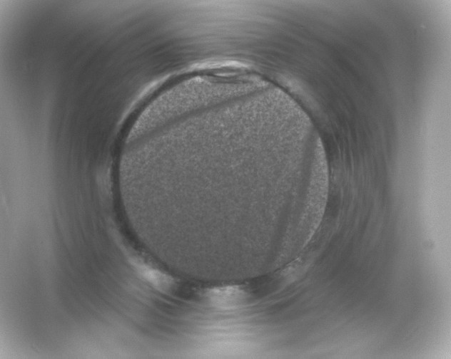 X0000065260112200603172241