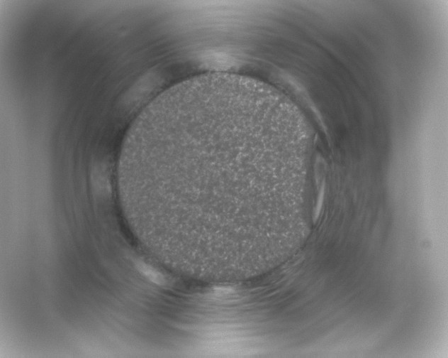 X0000065260114200603172240