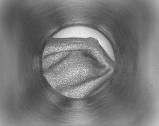 X0000065260115200603172240