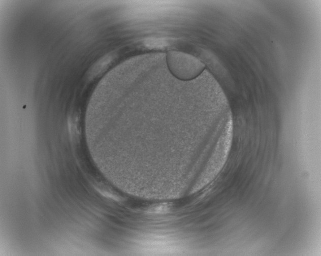 X0000065260116200603172240