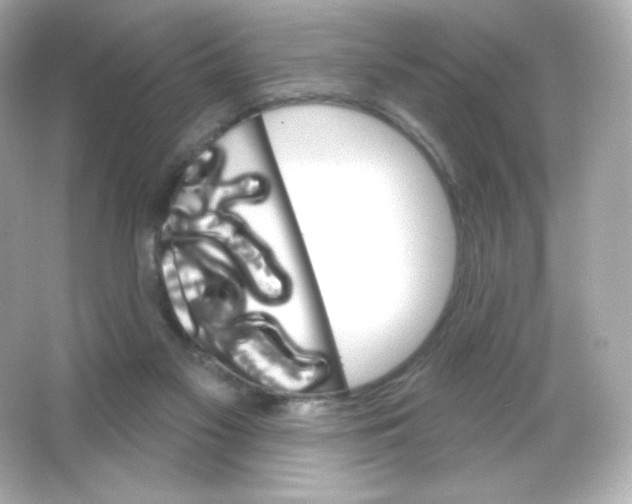 X0000065260117200603172240