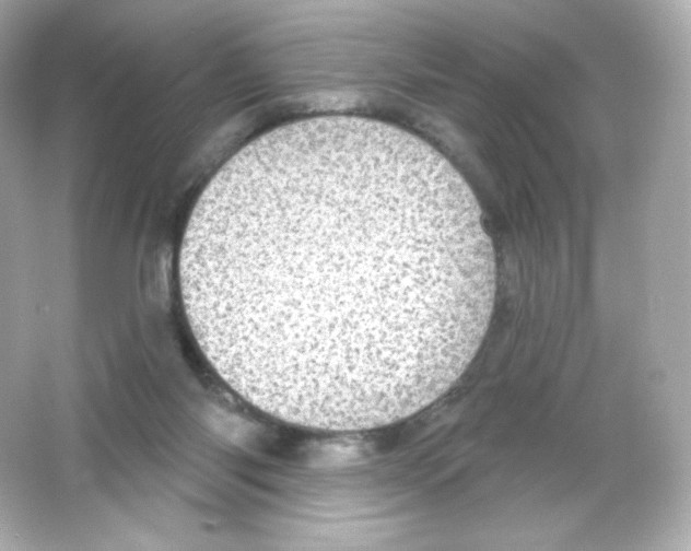 X0000065260118200603172240