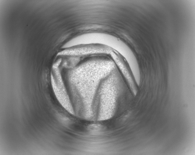 X0000065260119200603172240