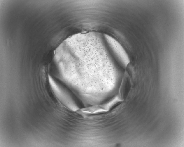 X0000065260121200603172240