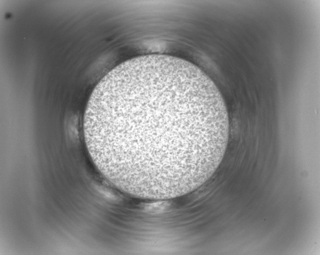 X0000065260122200603172240