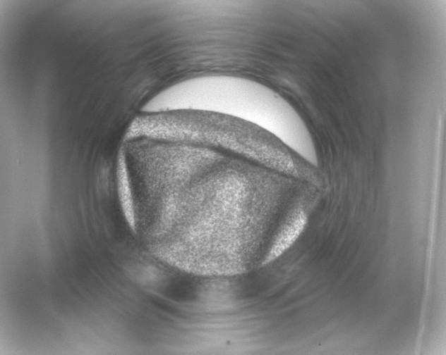 X0000065260123200603172240