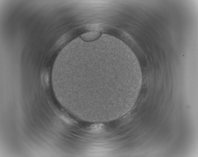 X0000065260124200603172240