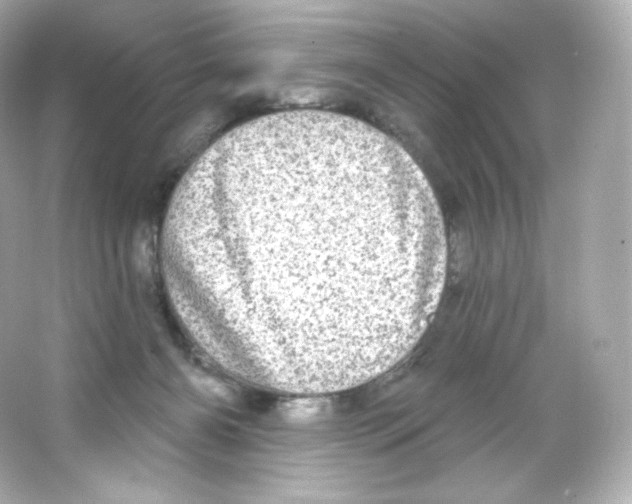 X0000065260126200603172240