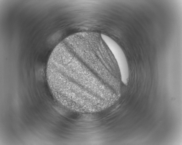 X0000065260127200603172240