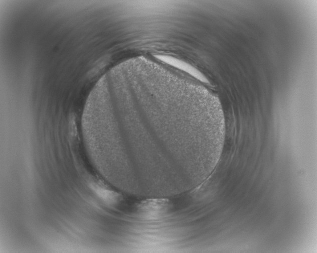 X0000065260128200603172240