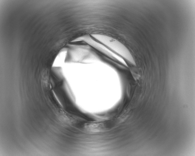 X0000065260129200603172240