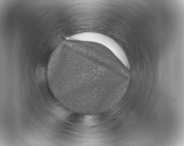 X0000065260130200603172240