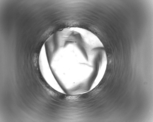 X0000065260133200603172240