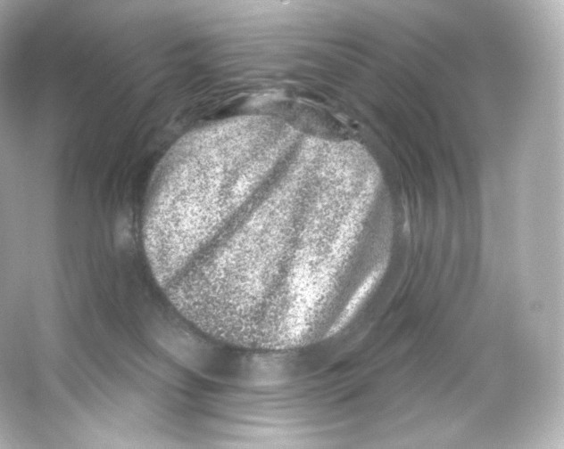 X0000065260134200603172240