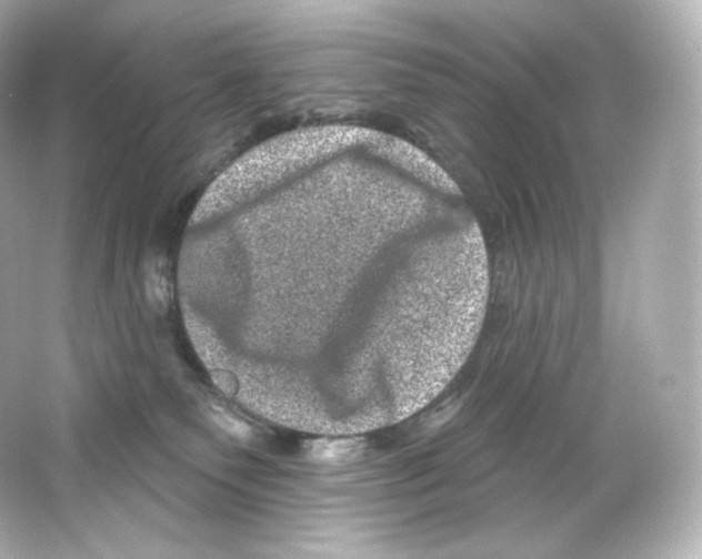 X0000065260135200603172240