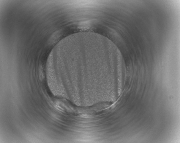 X0000065260136200603172240