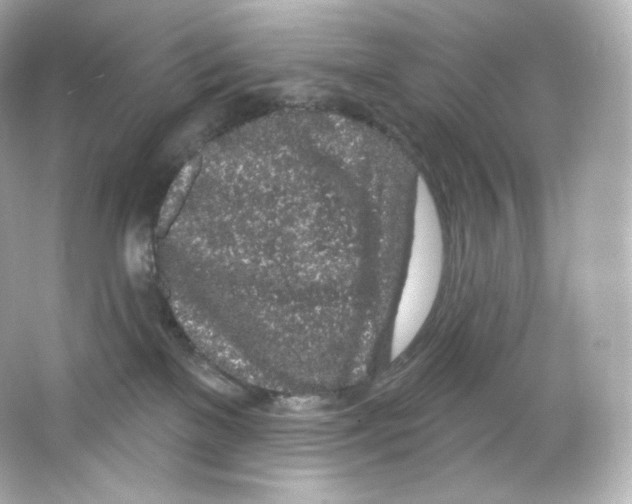 X0000065260137200603172240